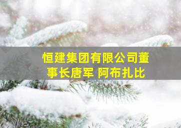 恒建集团有限公司董事长唐军 阿布扎比